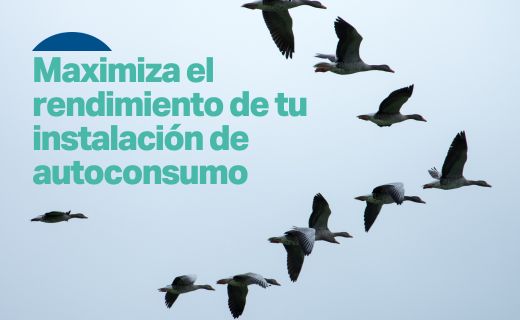 maximiza-el-rendimineto